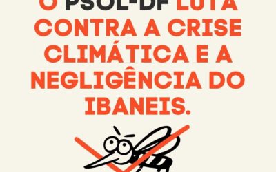 DENGUE NO DF: O QUE ESSA EPIDEMIA TEM A VER COM RACISMO AMBIENTAL?